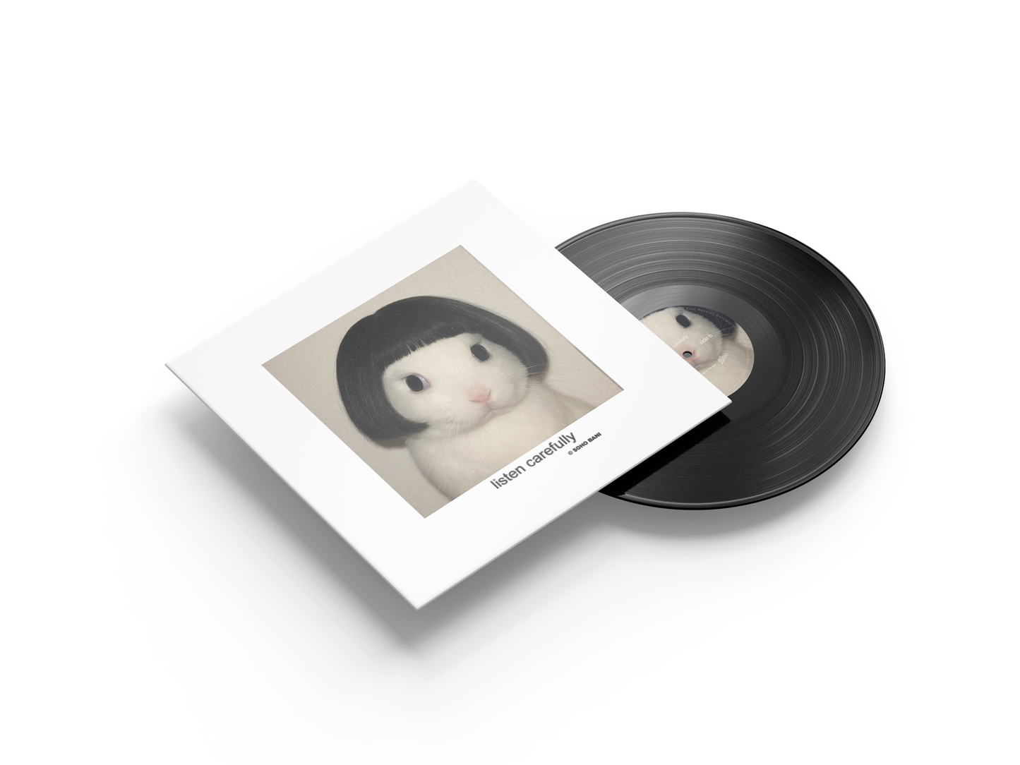 "listen carefully" VINYL